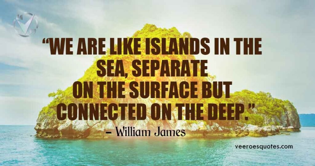 We are like islands in the sea, separate on the surface but connected ...