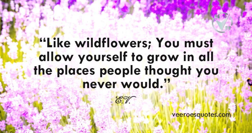 Like wildflowers You must allow yourself to grow in all the places people